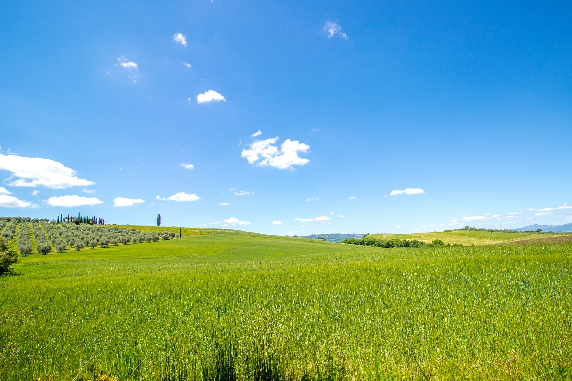 /api/file/public/265559/31977