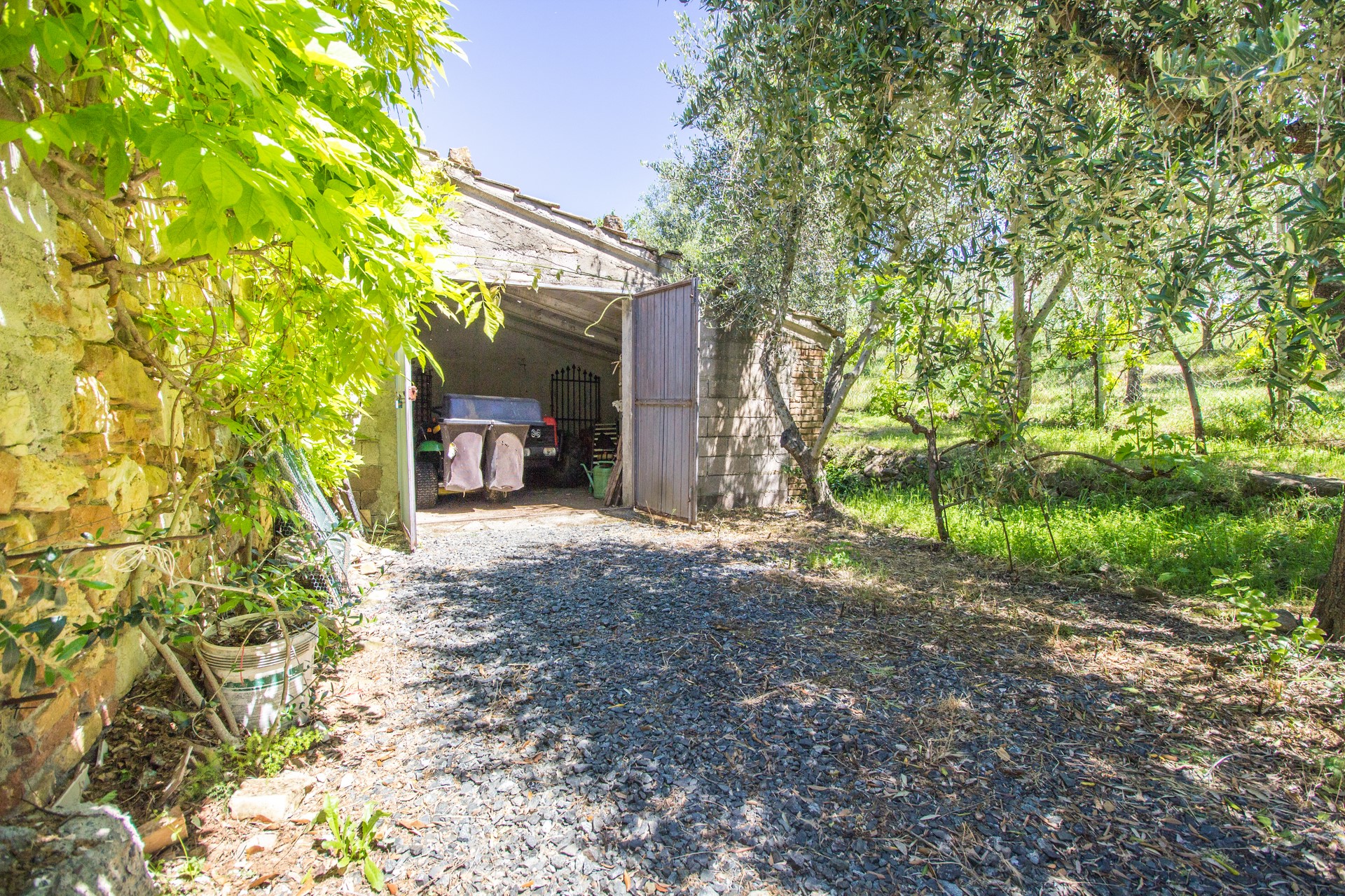 /api/file/public/265559/31984