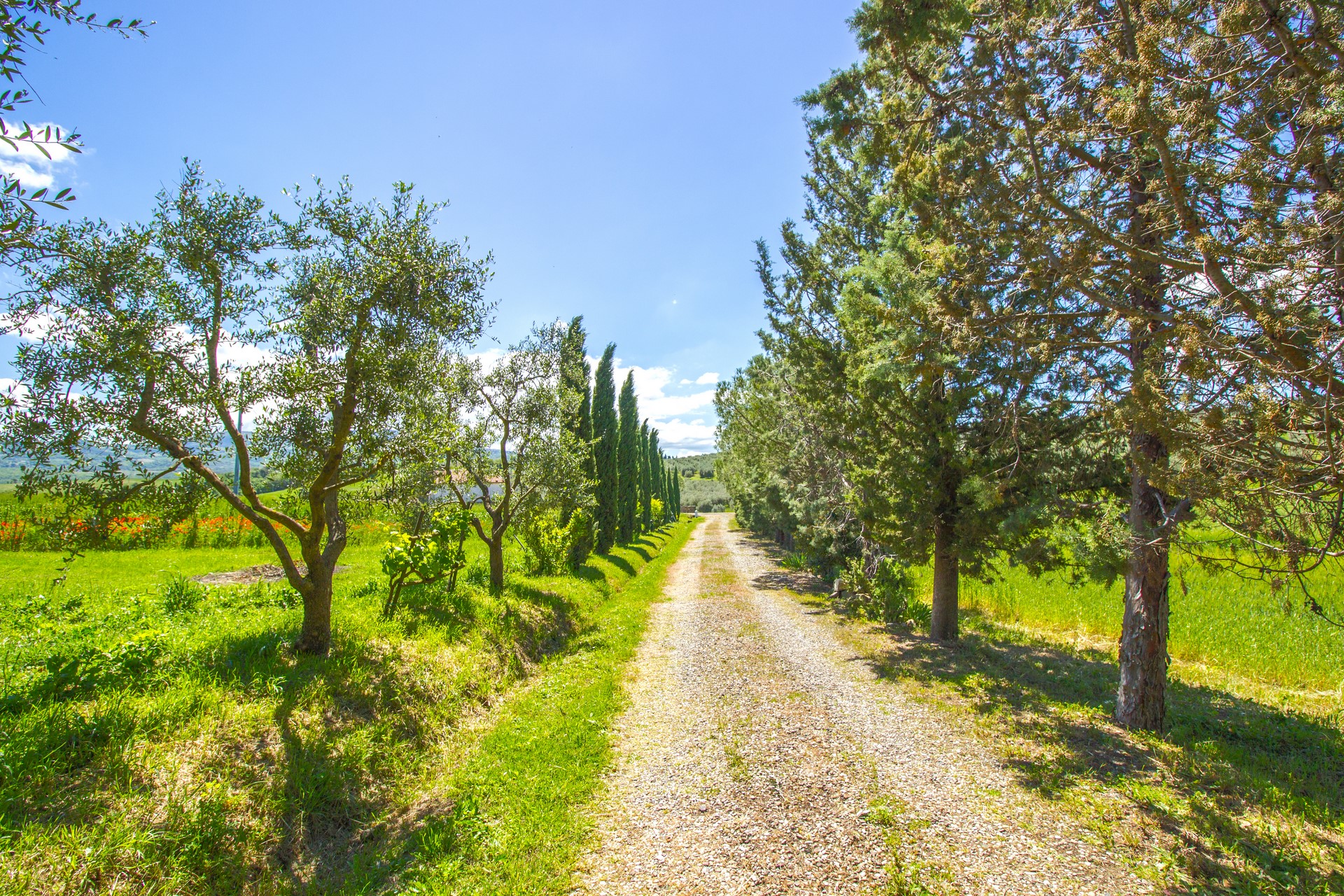 /api/file/public/265559/31987