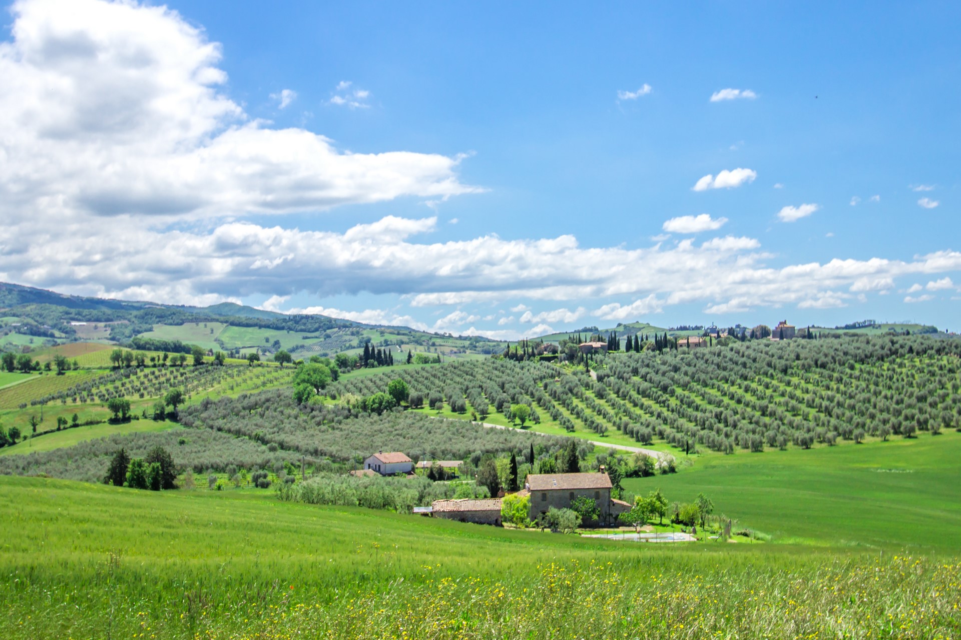 /api/file/public/265559/31988