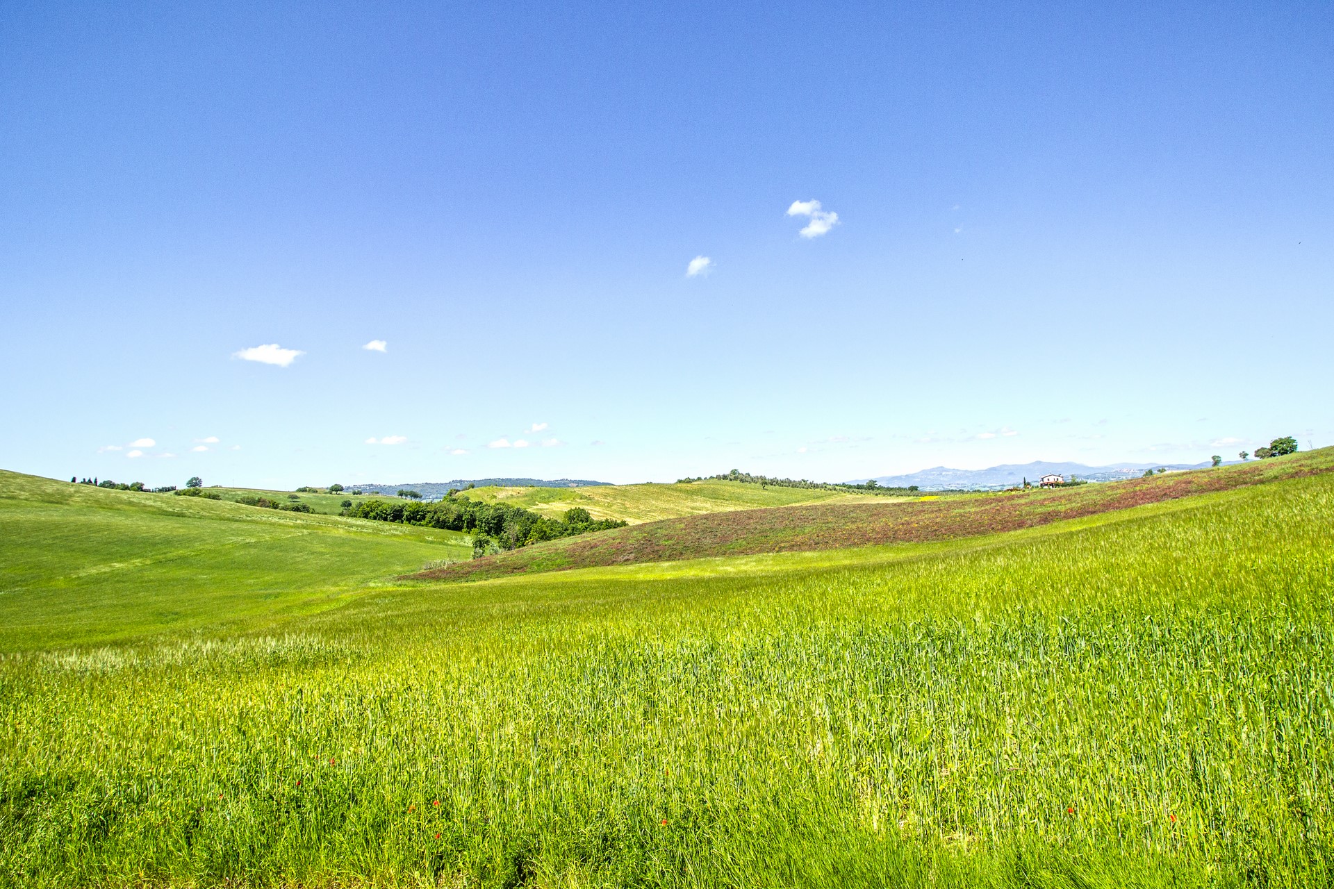 /api/file/public/265559/31989