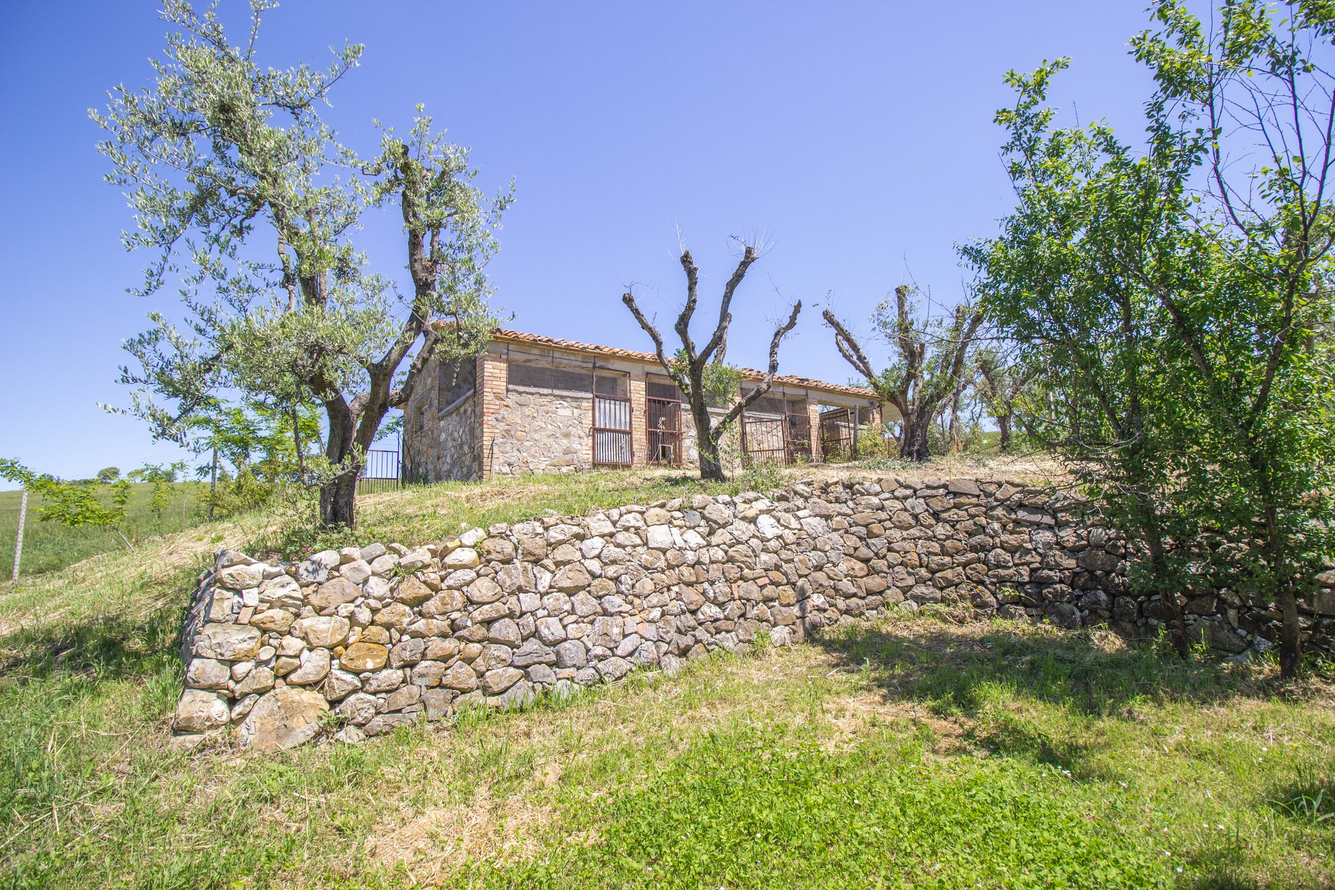 /api/file/public/265559/31990