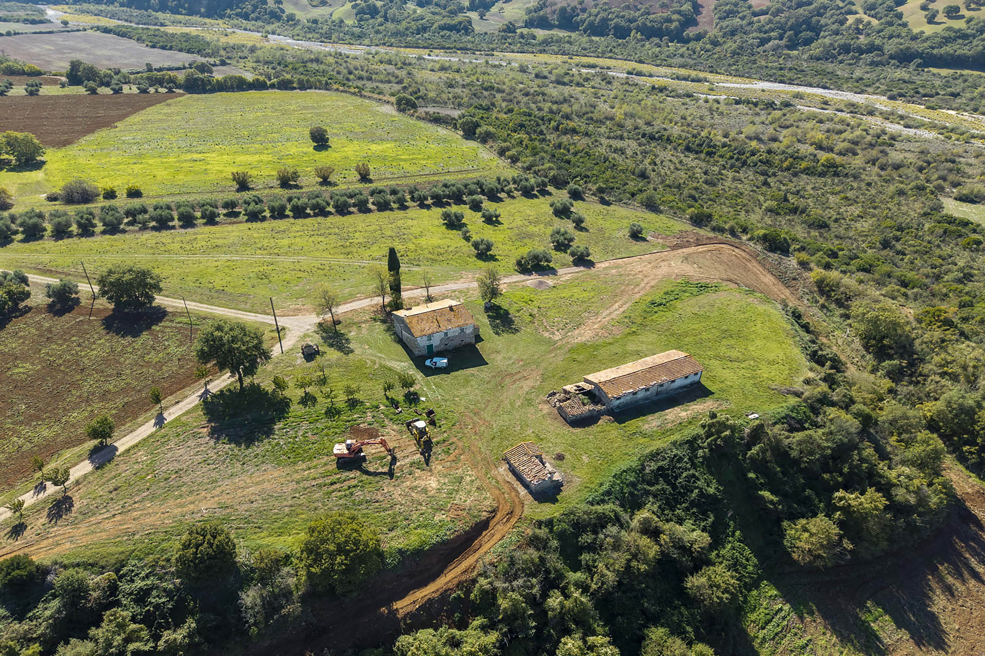 /api/file/public/265560/31994