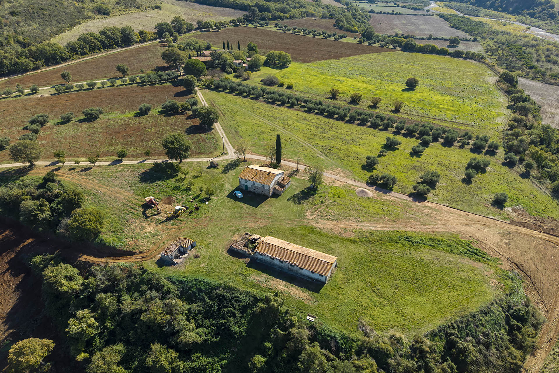 /api/file/public/265560/31995