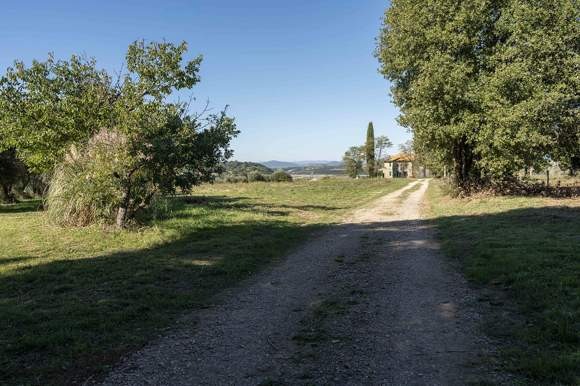 /api/file/public/265560/31997