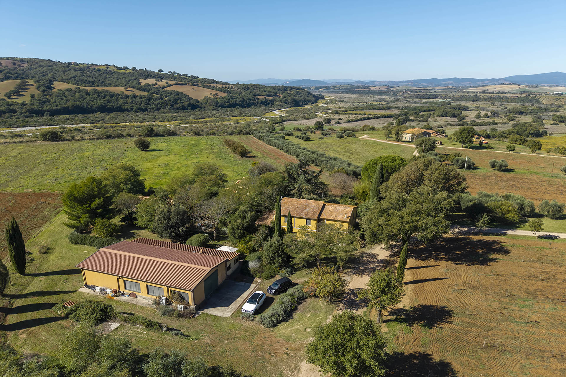 /api/file/public/265560/32003