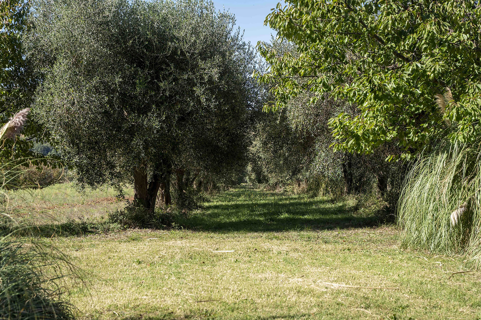 /api/file/public/265560/32005