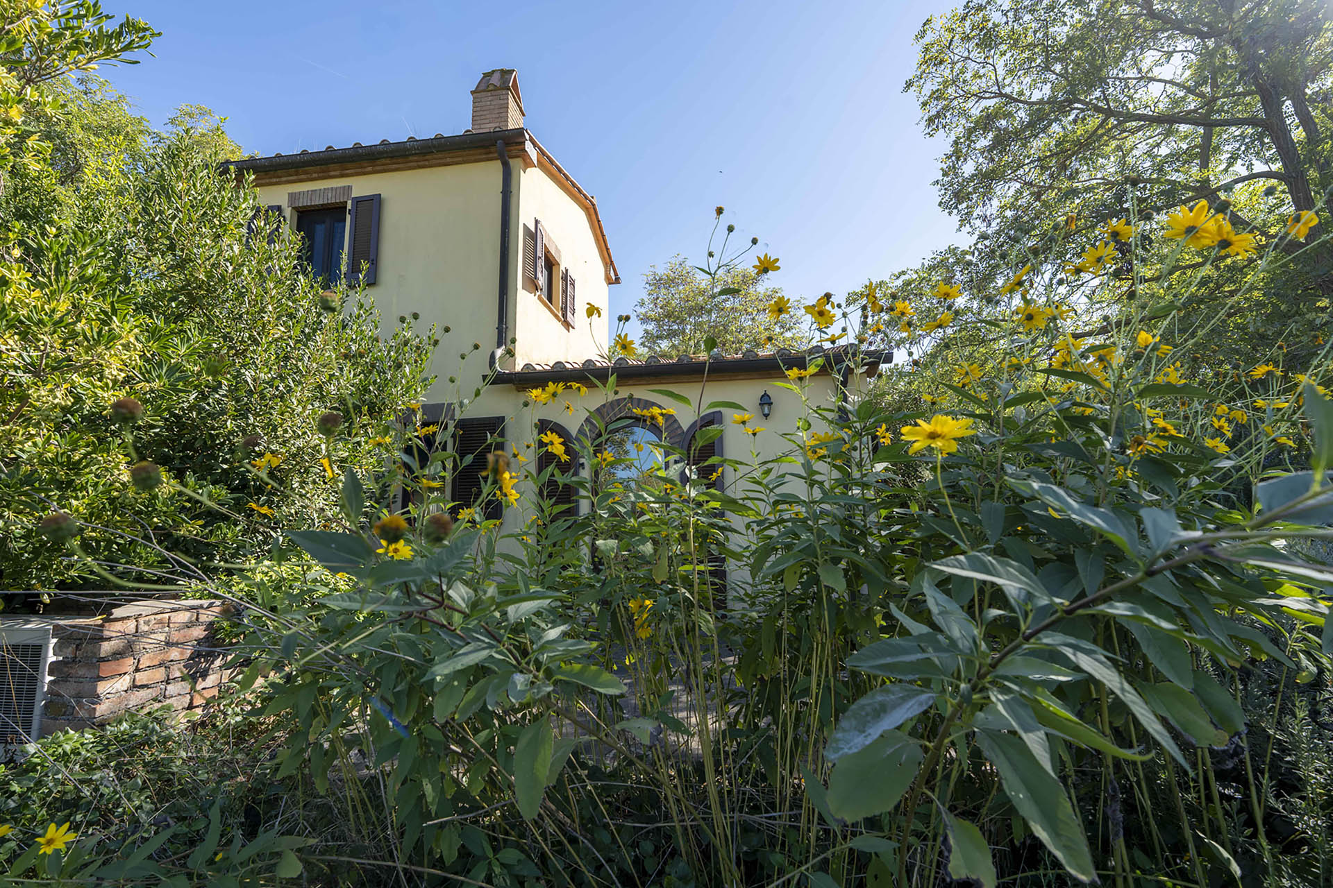 /api/file/public/265560/32018