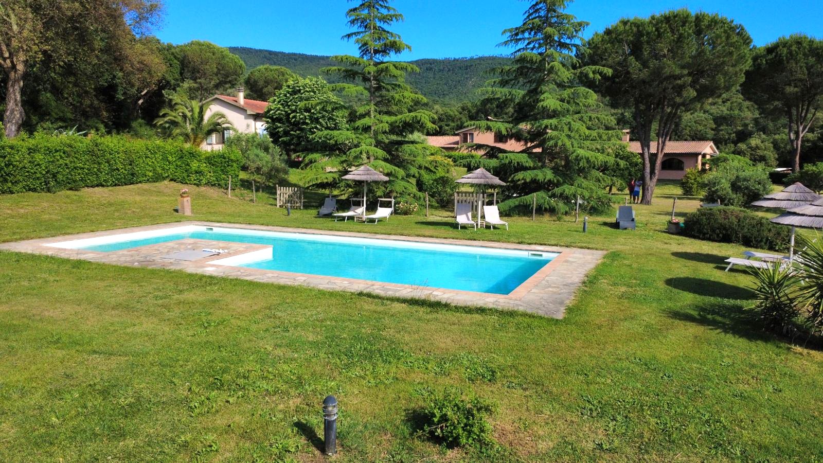 /api/file/public/265561/32036