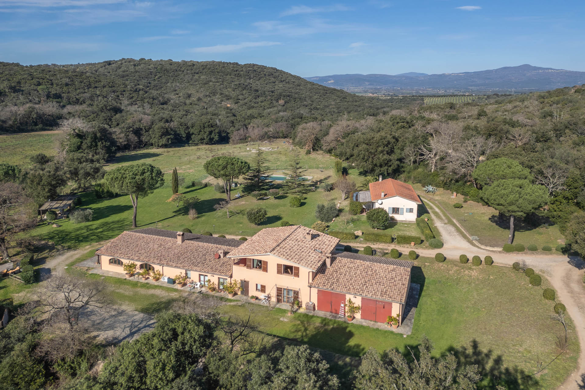 /api/file/public/265561/32037