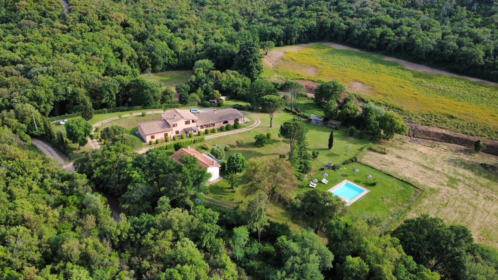 /api/file/public/265561/32038