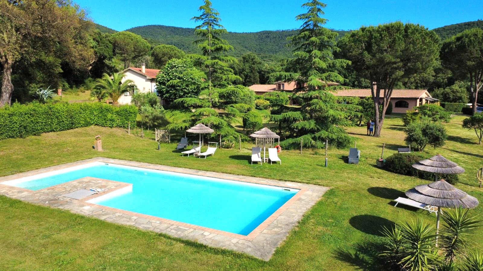 /api/file/public/265561/32039