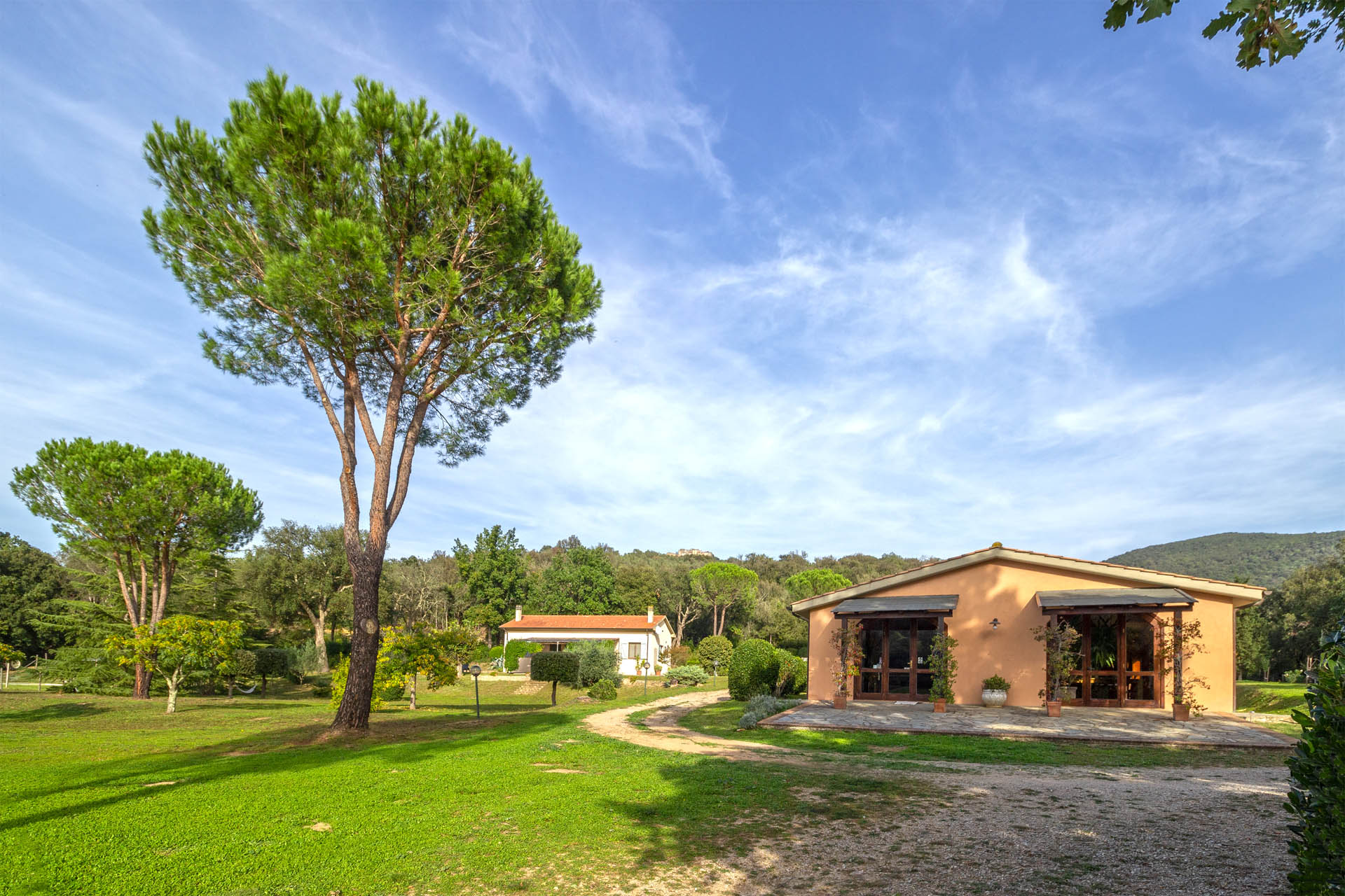 /api/file/public/265561/32045