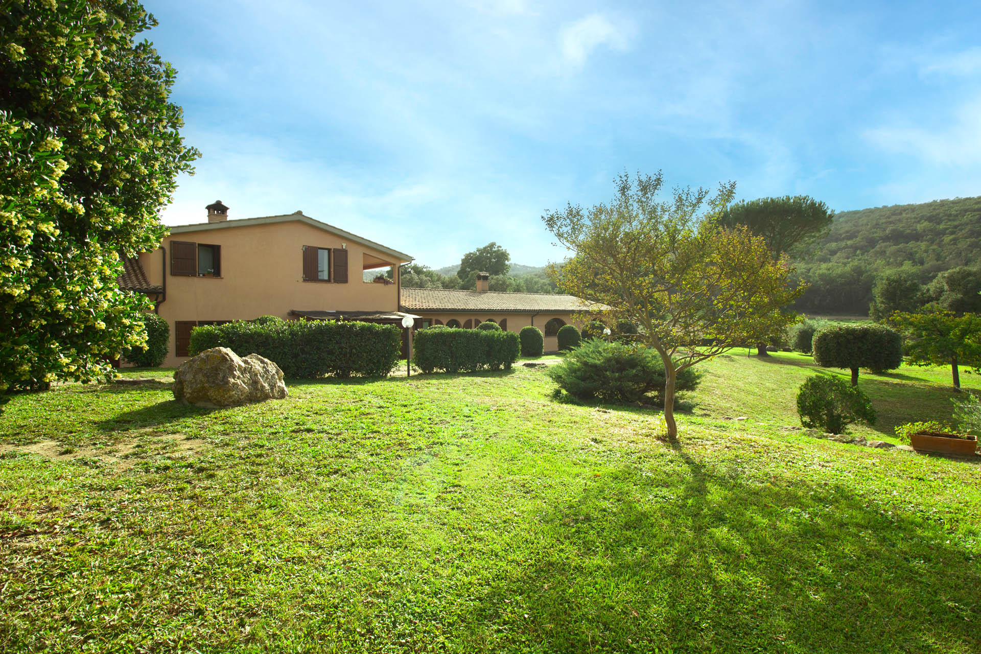 /api/file/public/265561/32047