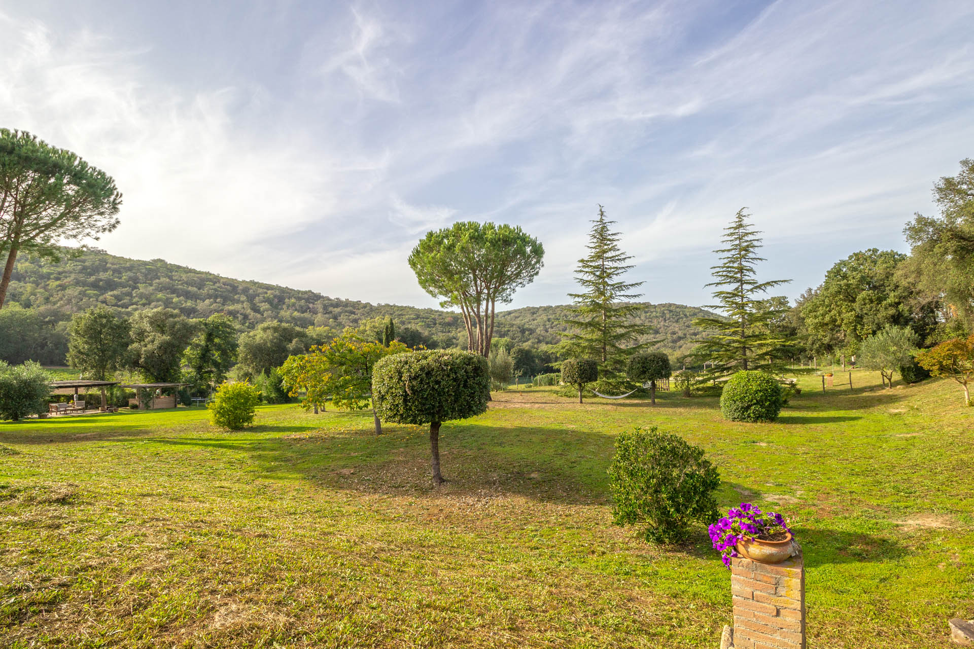 /api/file/public/265561/32049