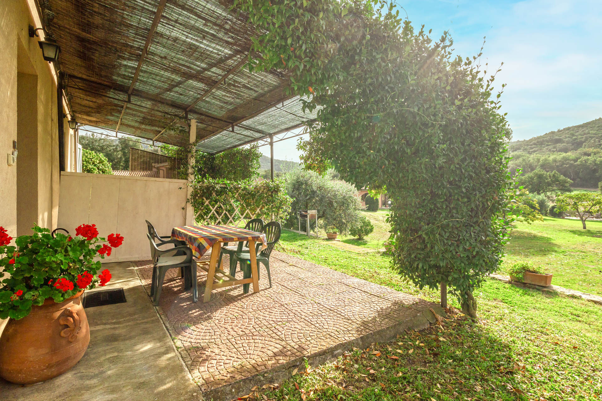 /api/file/public/265561/32053