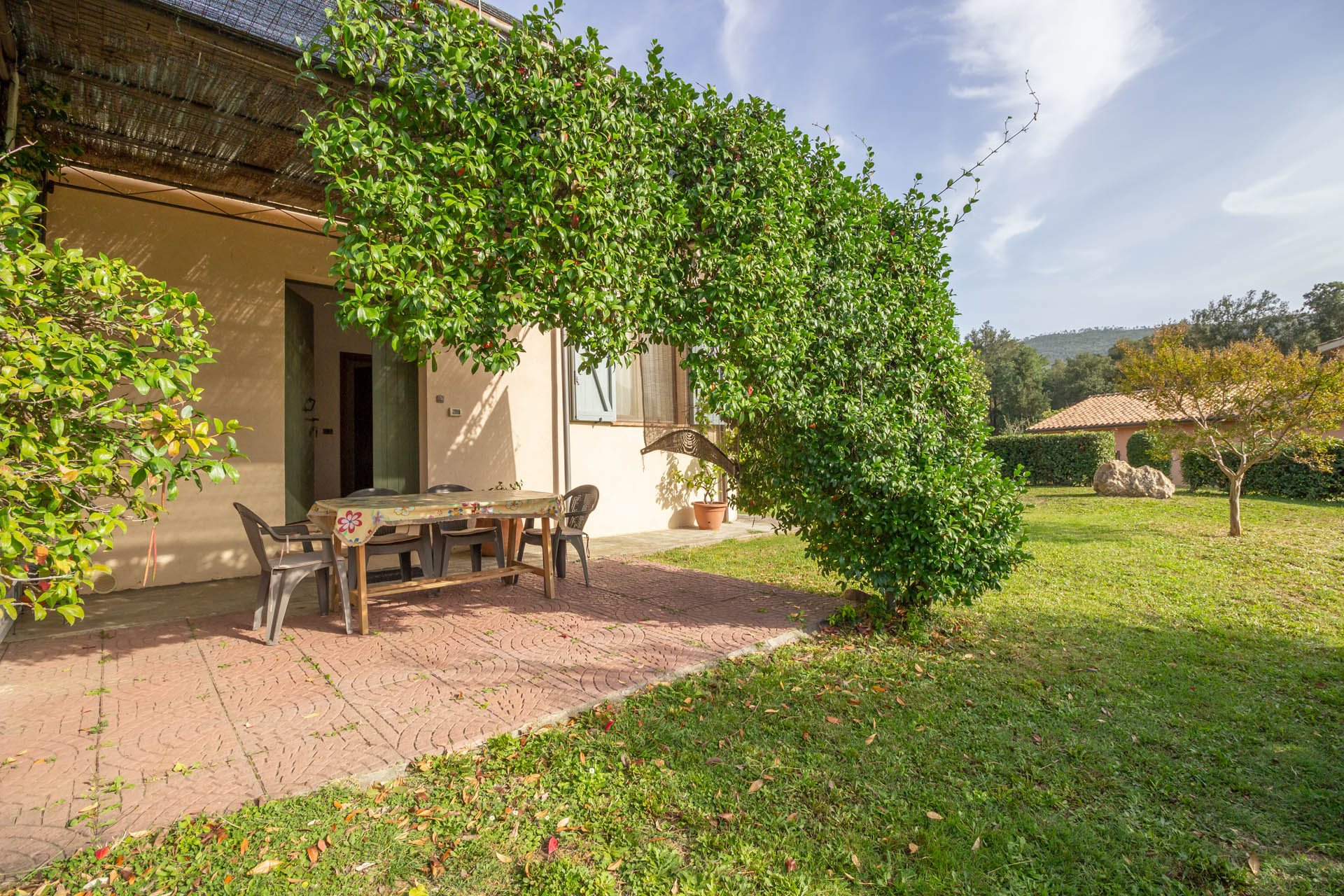 /api/file/public/265561/32058