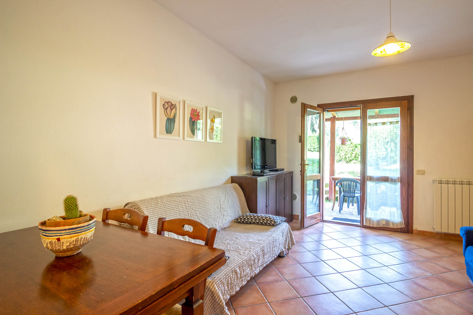 /api/file/public/265561/32062