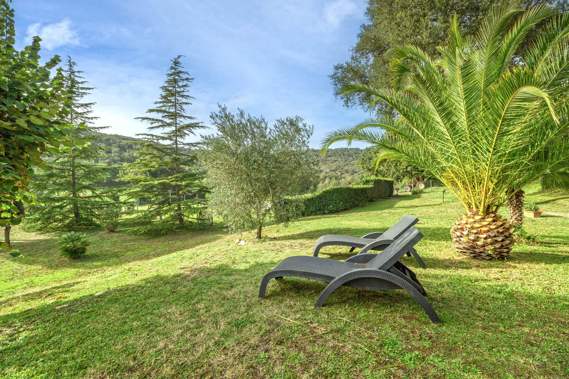 /api/file/public/265561/32064