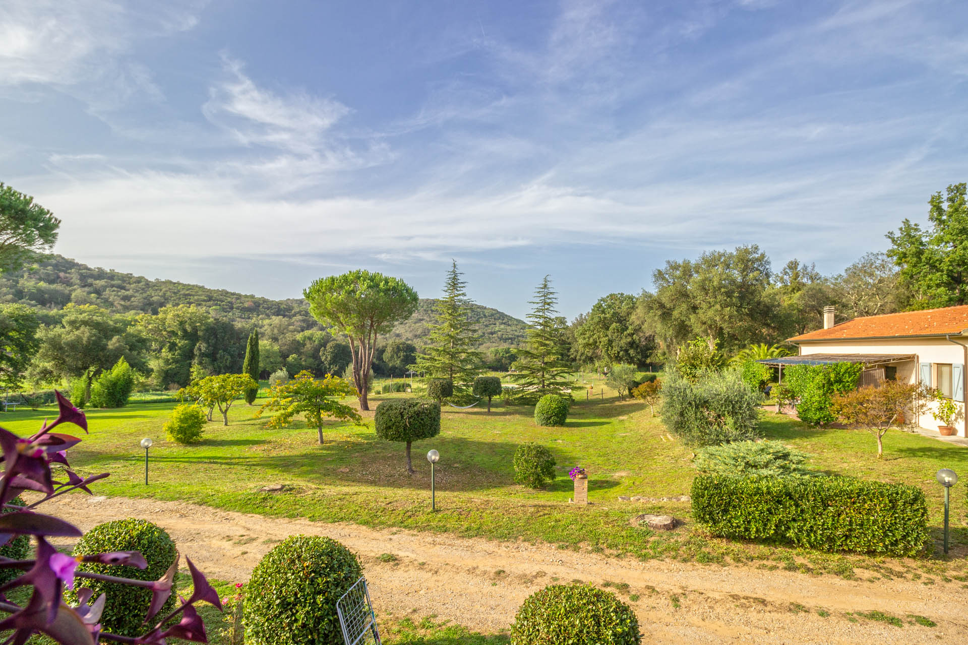 /api/file/public/265561/32068