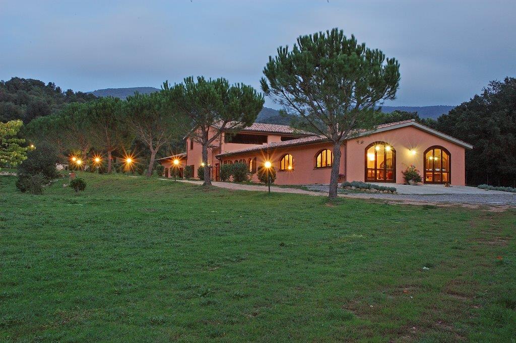 /api/file/public/265561/32069