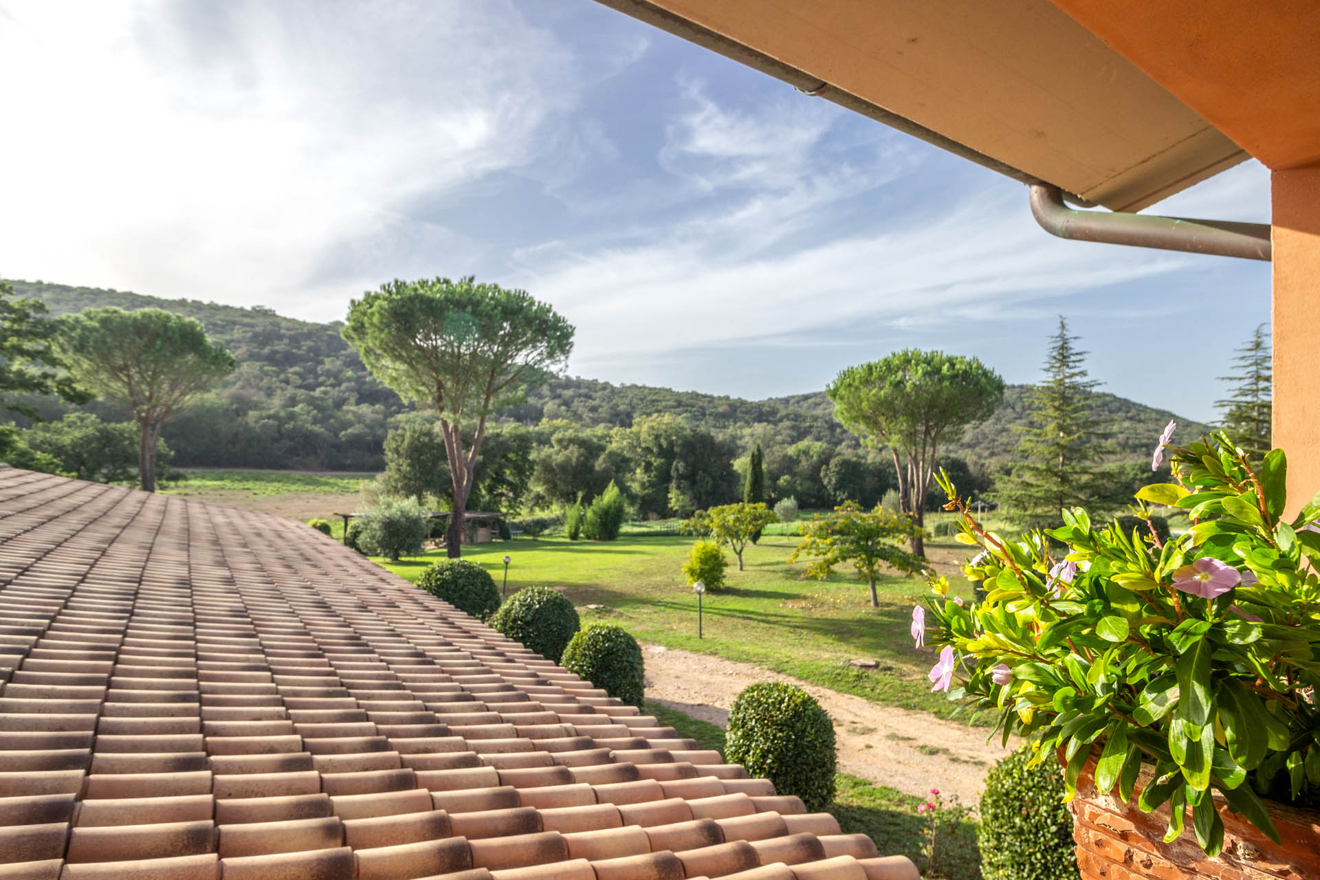 /api/file/public/265561/32071