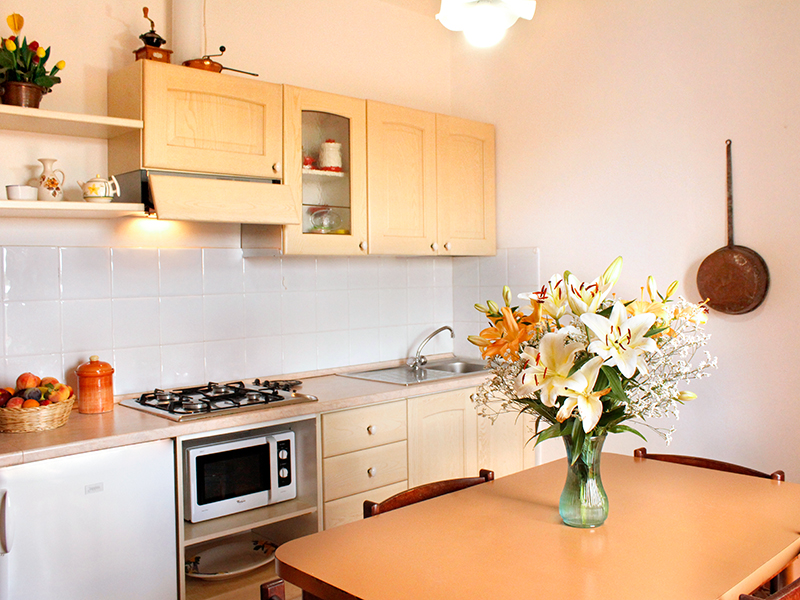 /api/file/public/265562/32080