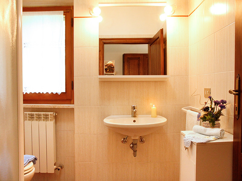 /api/file/public/265562/32082