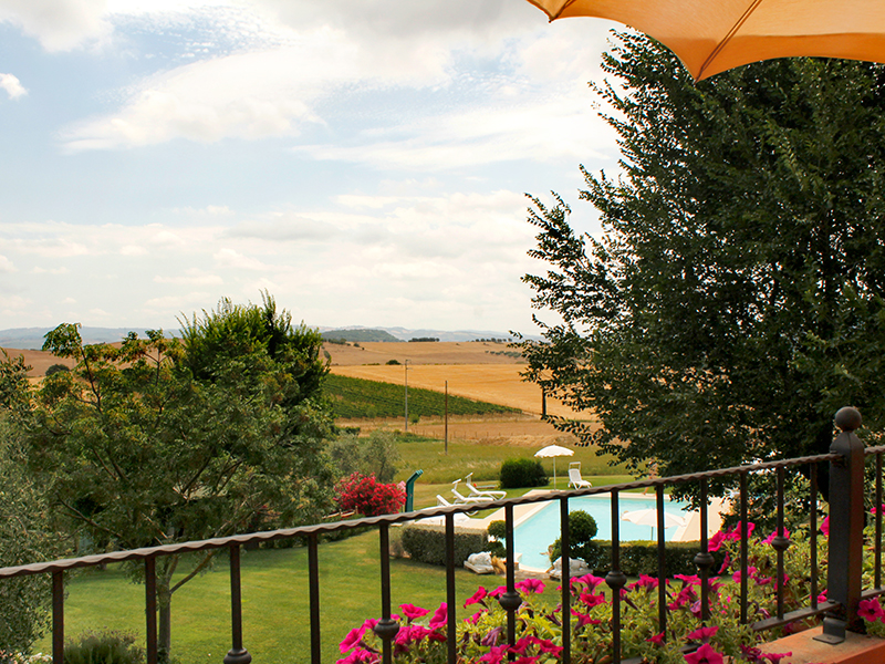 /api/file/public/265562/32091