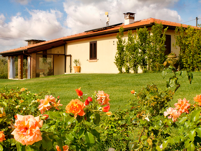 /api/file/public/265562/32092