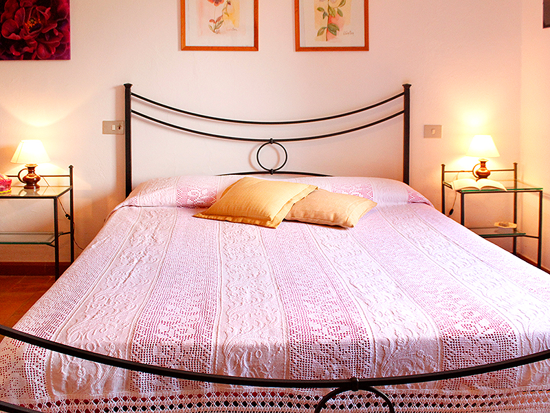 /api/file/public/265562/32093