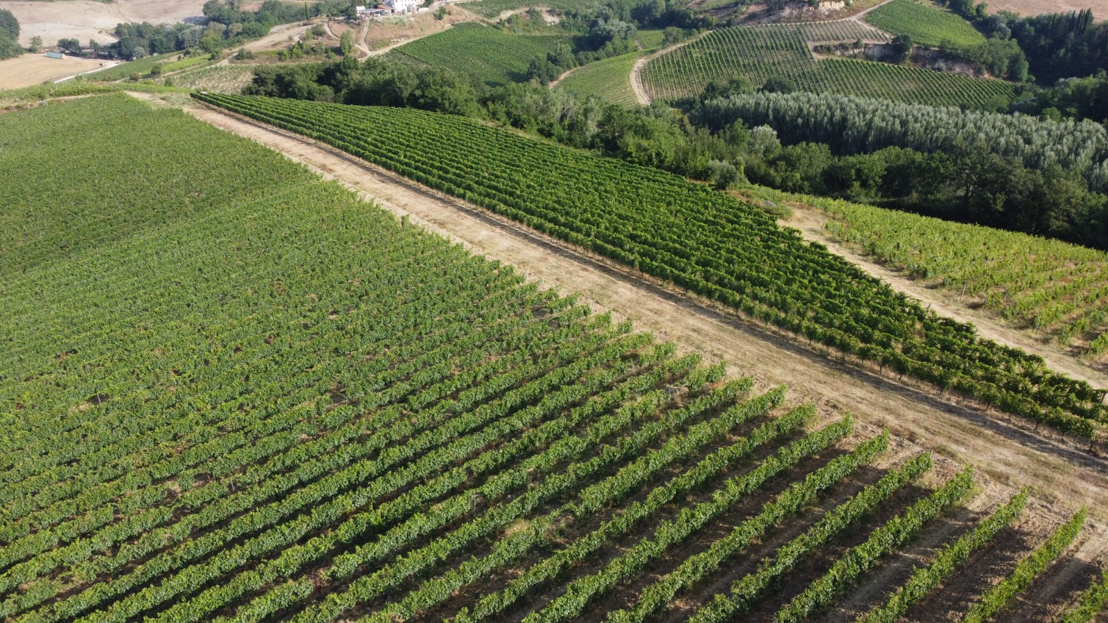 /api/file/public/265563/32105