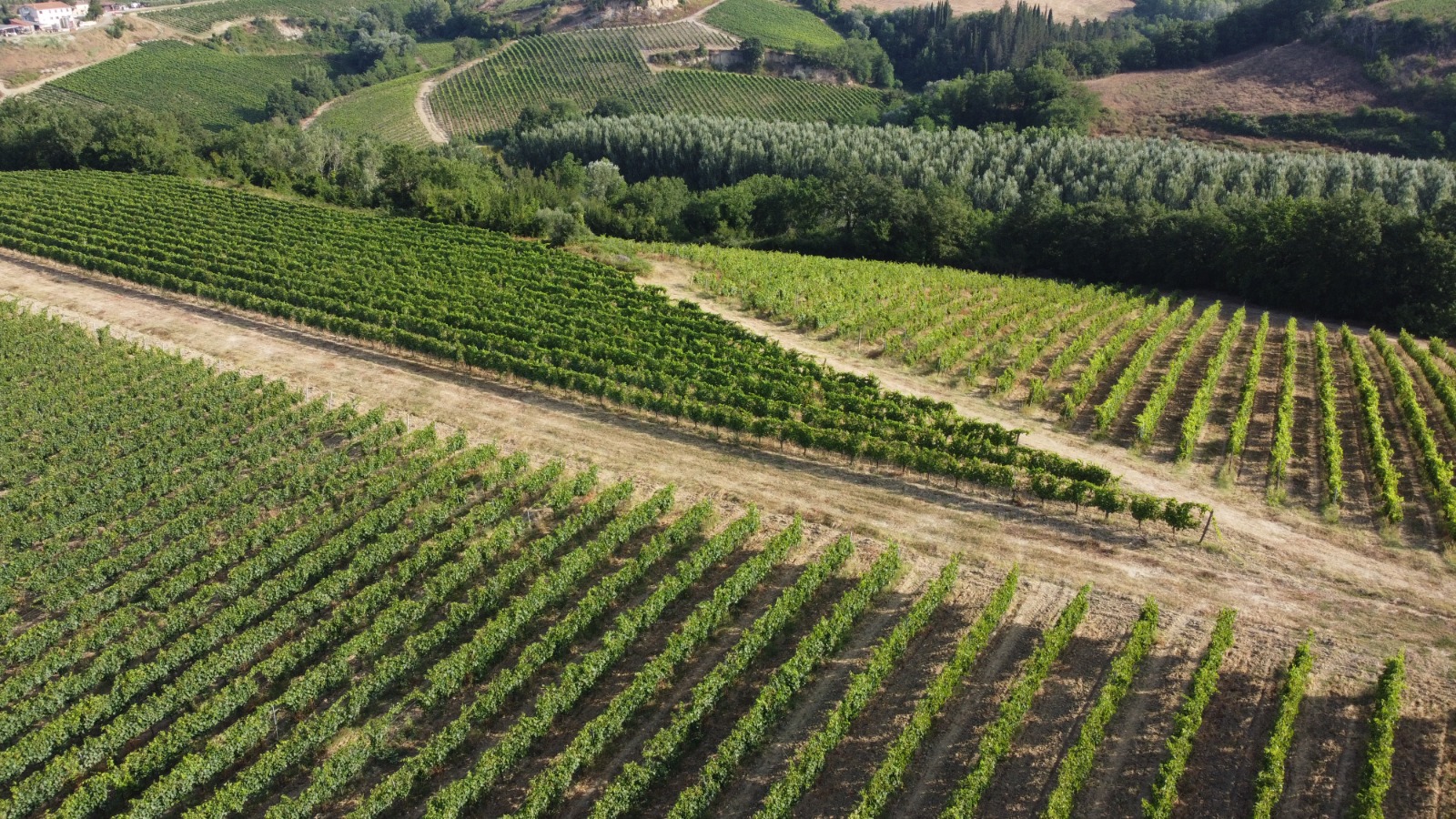 /api/file/public/265563/32106