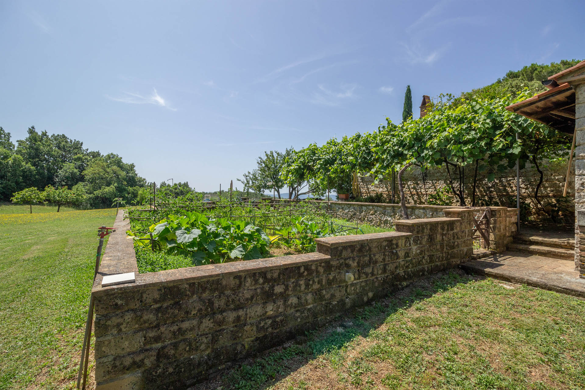 /api/file/public/265564/32304