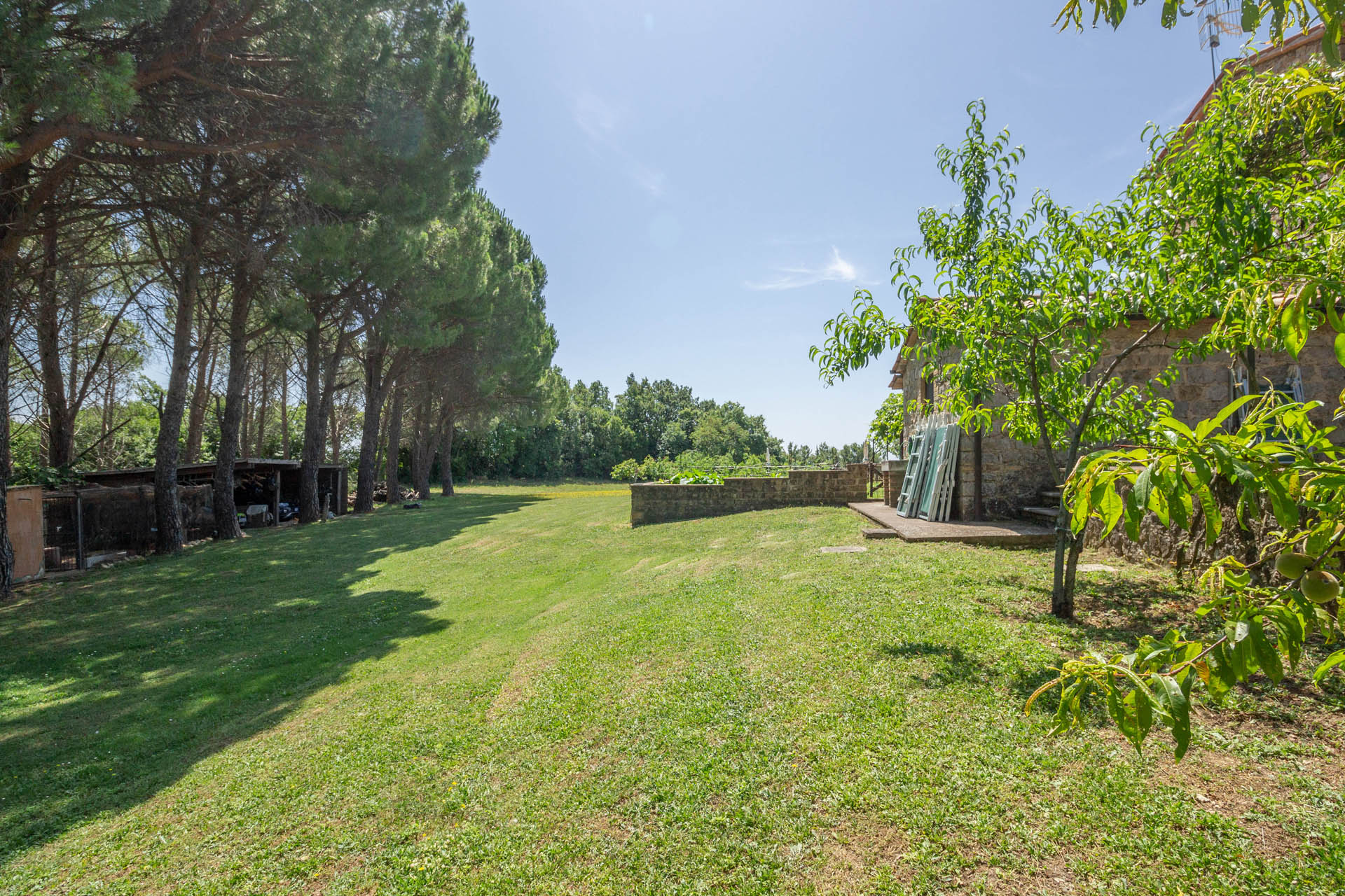 /api/file/public/265564/32308