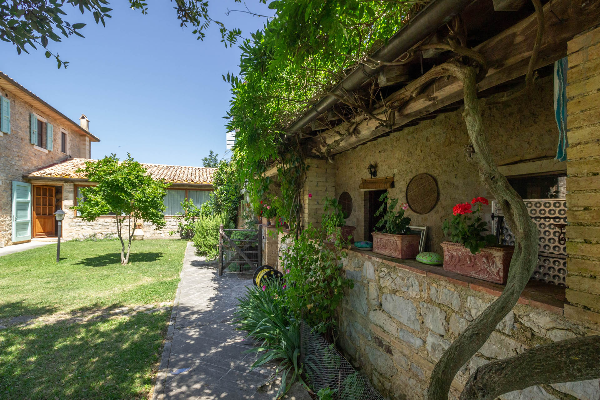 /api/file/public/265564/32310