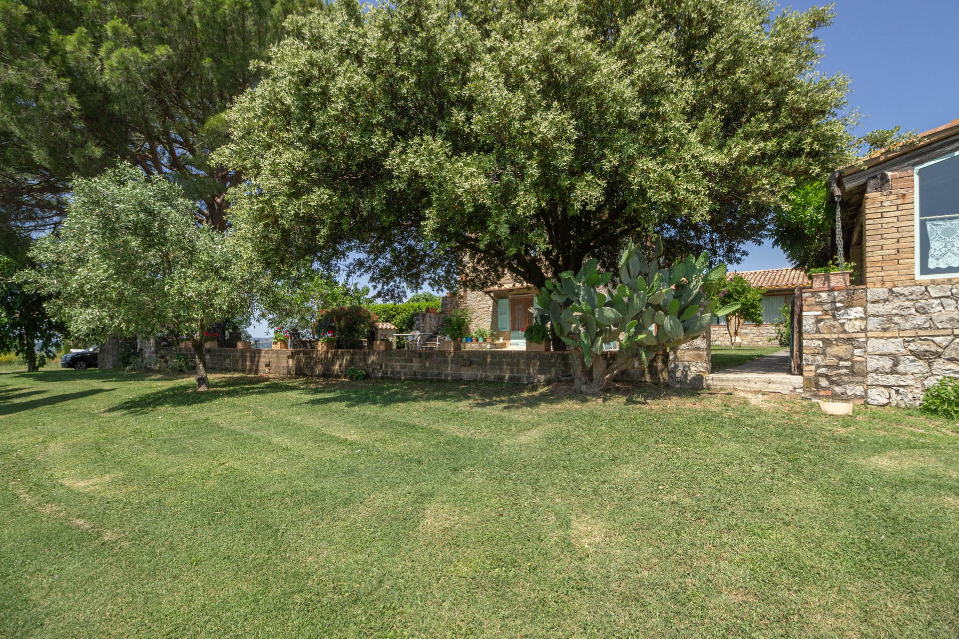 /api/file/public/265564/32311