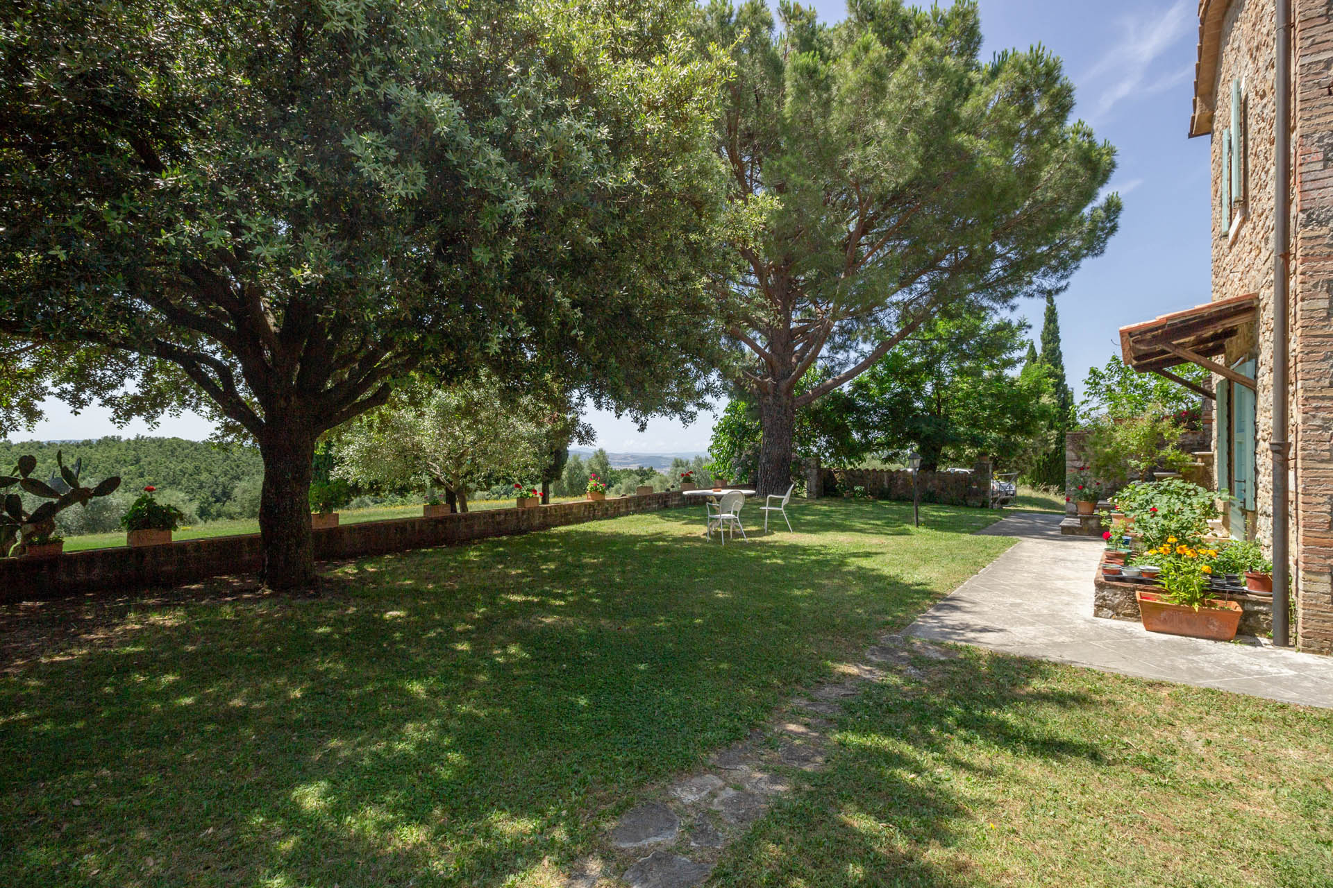 /api/file/public/265564/32313