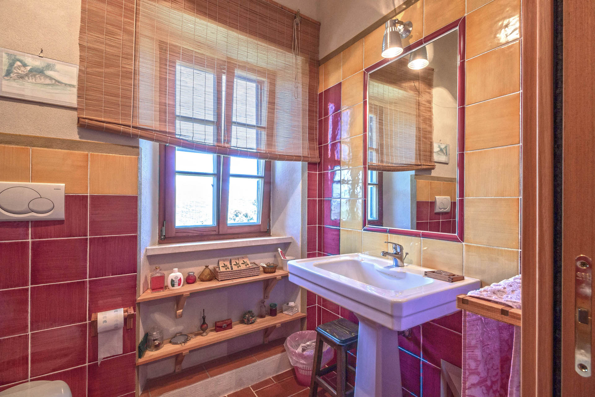 /api/file/public/265564/32322