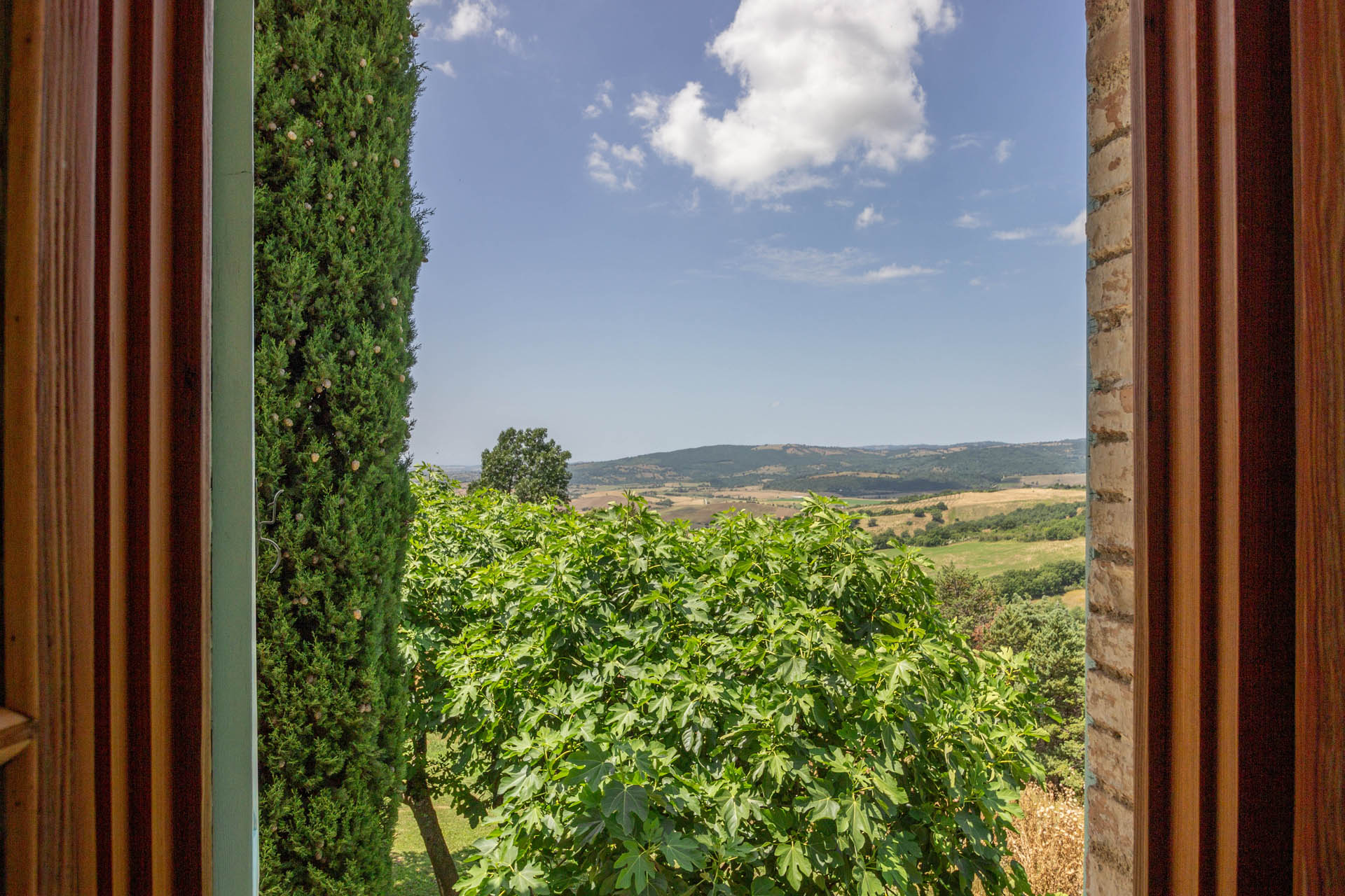 /api/file/public/265564/32324