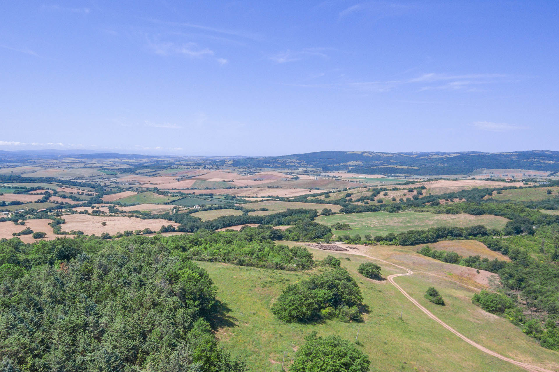 /api/file/public/265564/32331