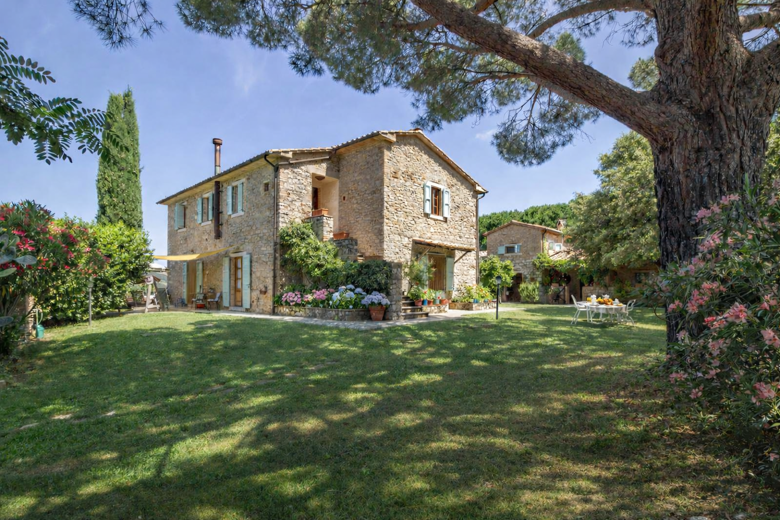 /api/file/public/265564/32332