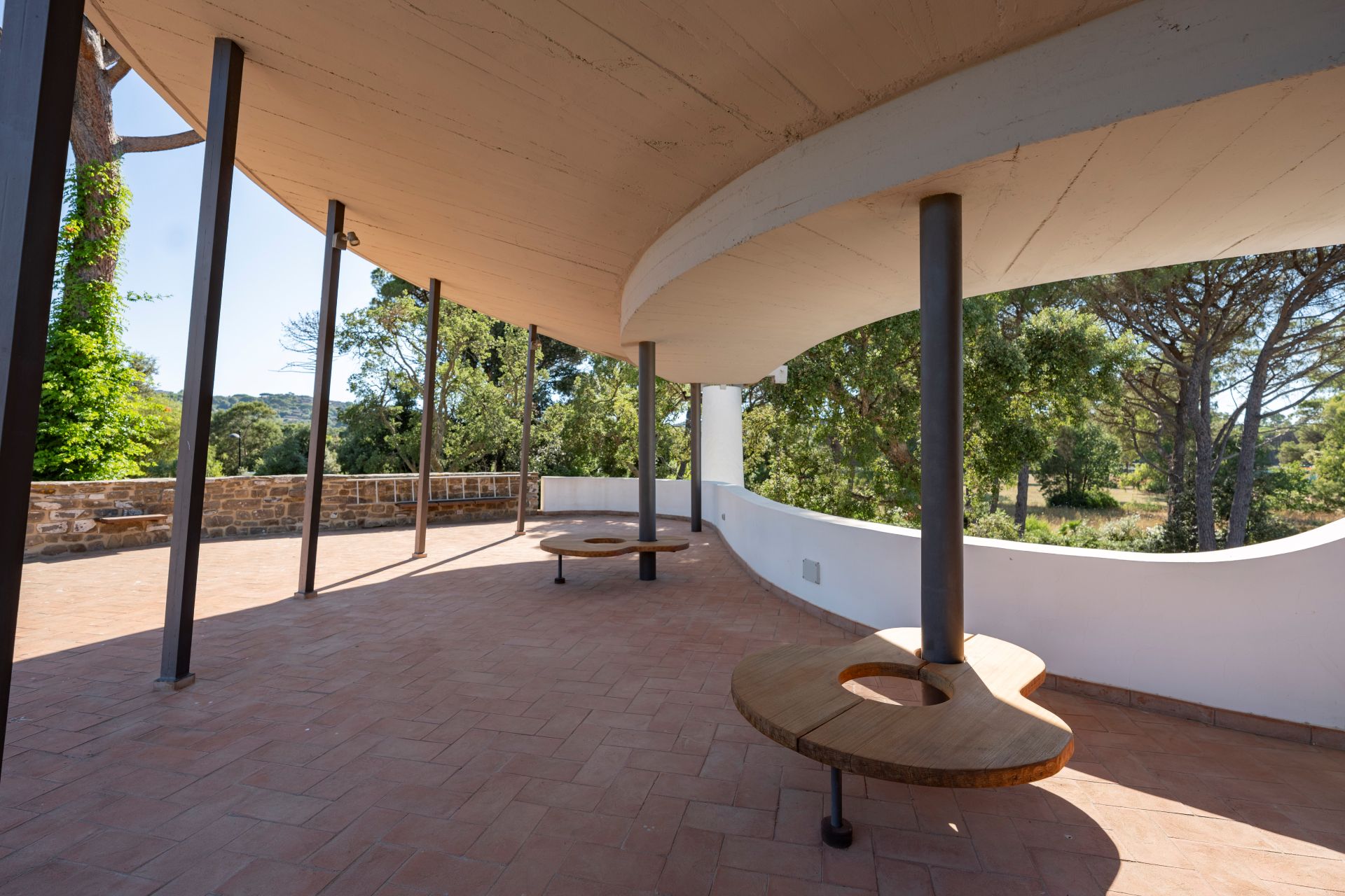 /api/file/public/265565/32156