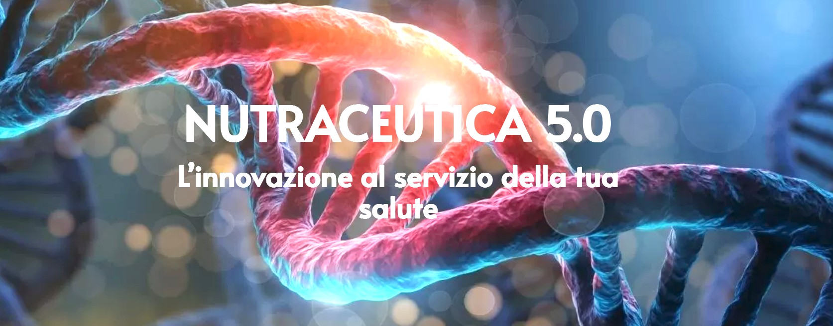 /api/file/public/265597/32302