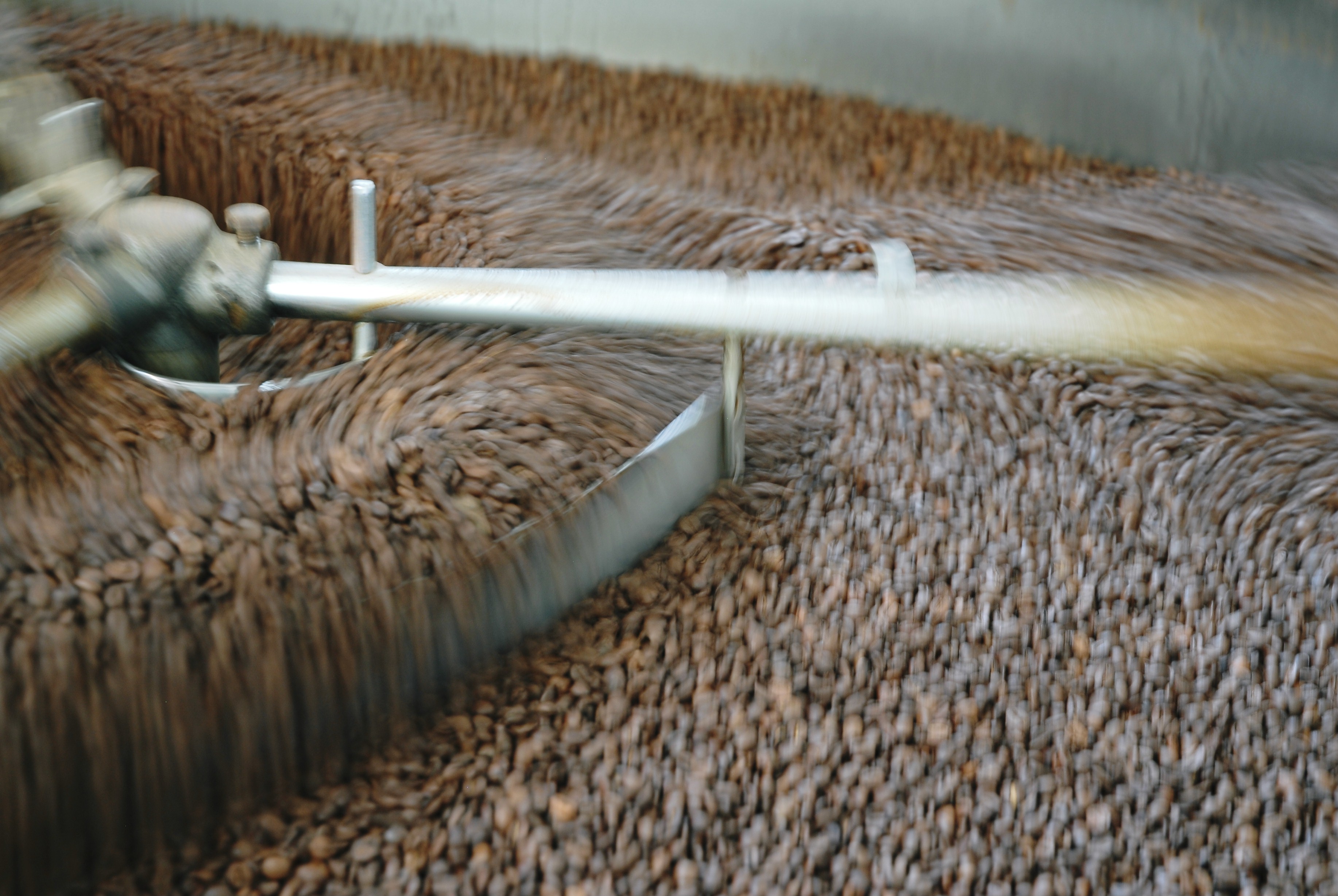 /api/file/public/265601/32337