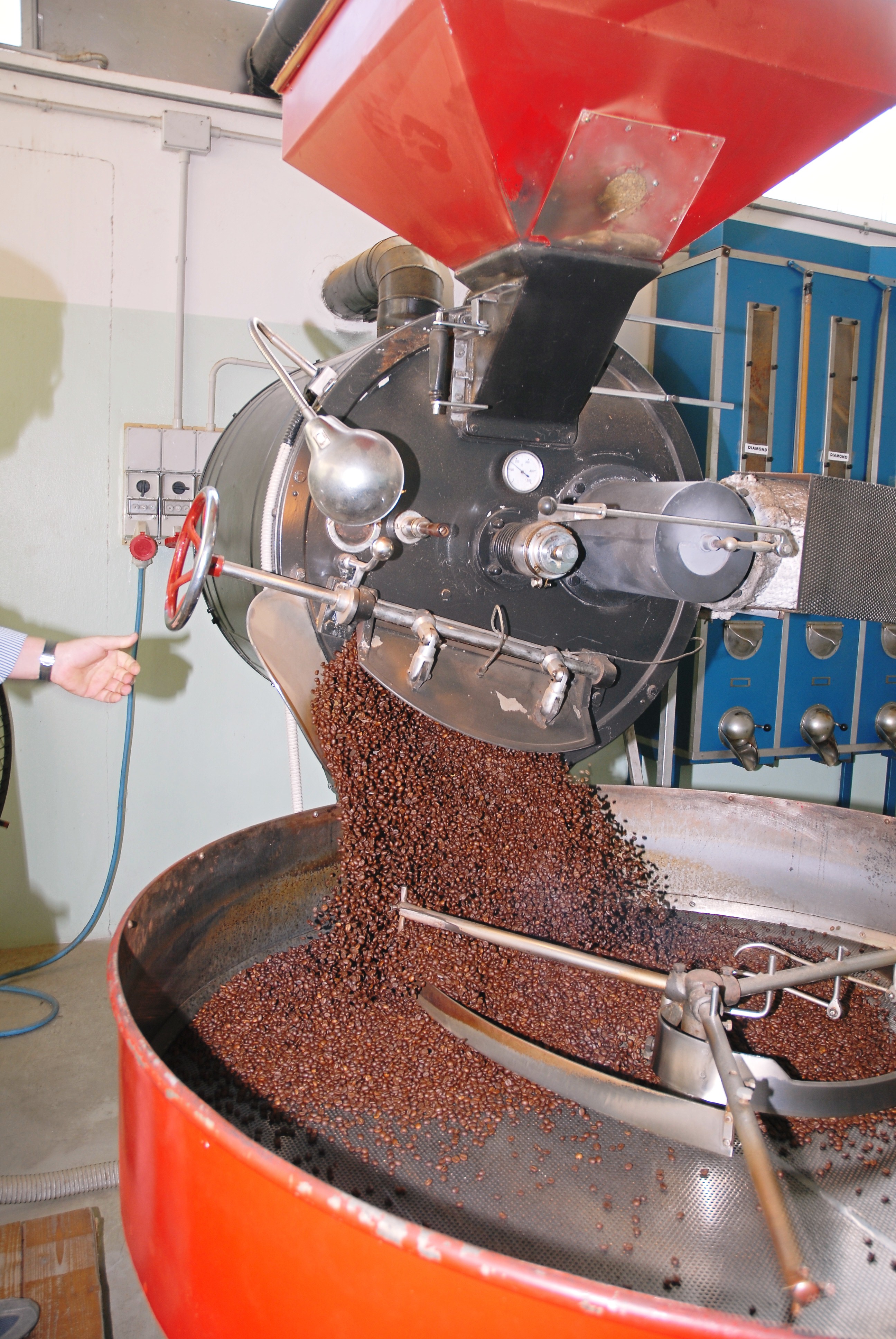 /api/file/public/265601/32339