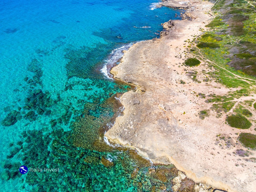 /api/file/public/265607/32350