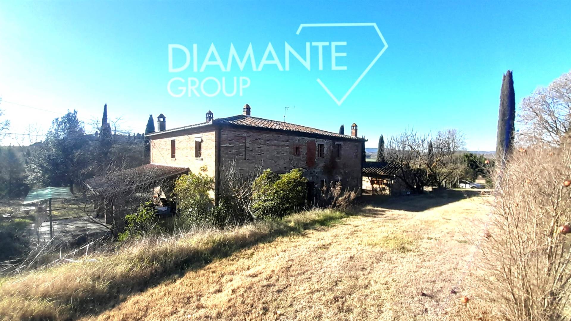 /api/file/public/265618/32409