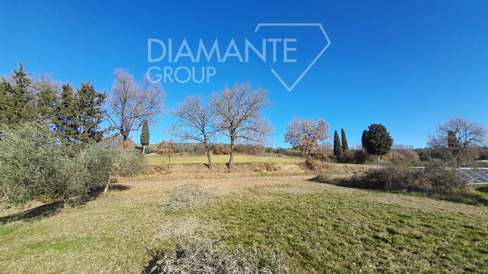 /api/file/public/265618/32410