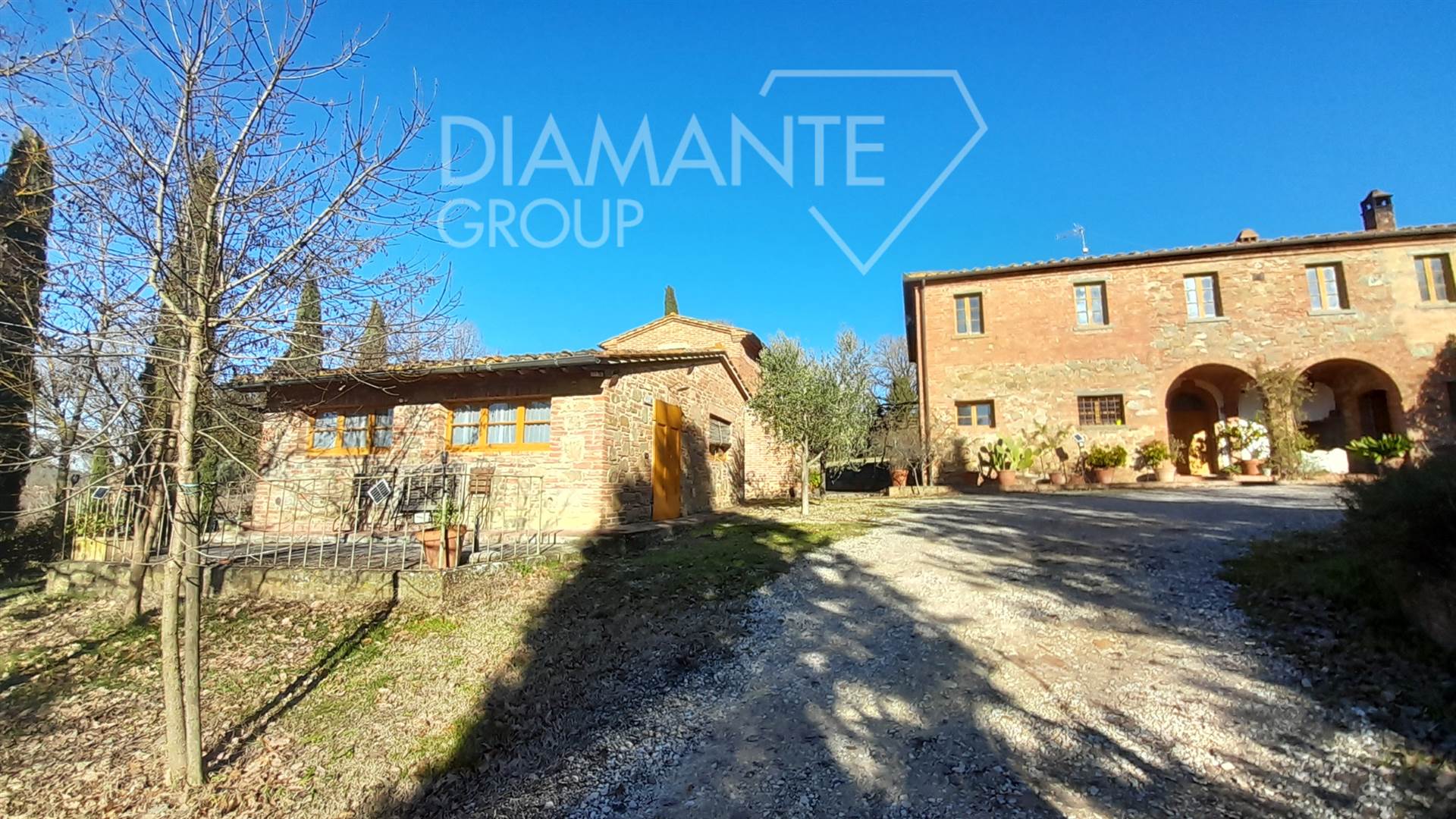 /api/file/public/265618/32411